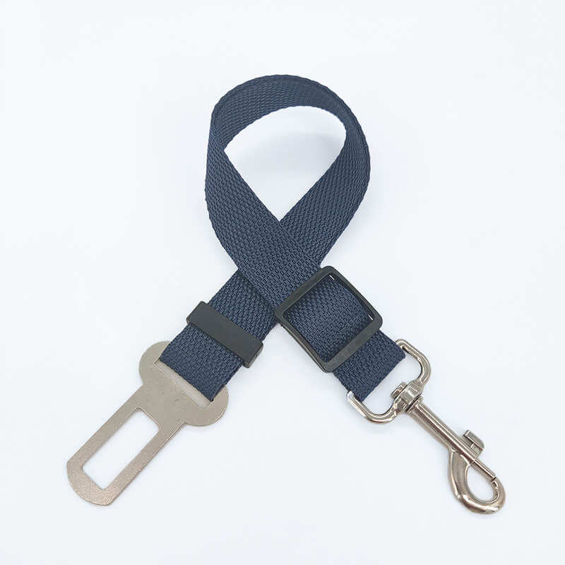 สีน้ำเงิน