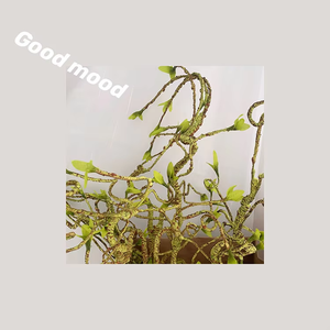 Planta Artificial Decorativa para Hogar y Jardín, Rama de Árbol Artificial de 100 cm, Plástico Verde, Venta al Por Mayor 2025 - Product Image 6