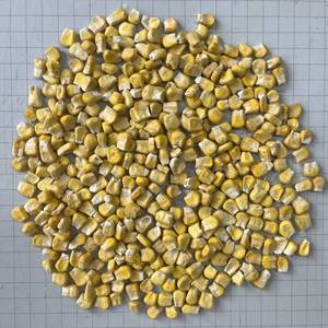 D040 %100 Doğal Dondurarak Kurutulmuş Tatlı Mısır FD Vakumlu Gıda Sınıfı Dondurarak Kurutulmuş Sebze Atıştırmalık ve Hazır Yemekler İçin - Product Image 1