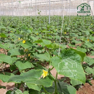 Serre en filet de câbles robuste et durable avec ventilation optimisée, résistante aux UV, pour légumes - Product Image 5