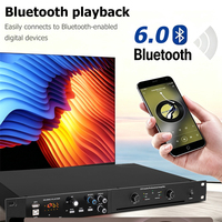 Yüksek Güçlü 450W 2 Kanallı Profesyonel Dijital Amfi Dahili Bluetooth Ses Efekti Karaoke Amfisi