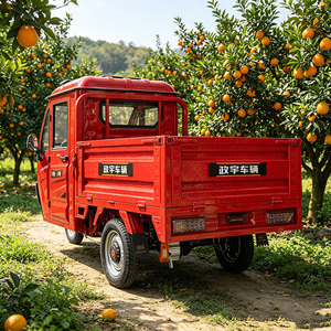 Tricycle cargo électrique à trois <span class=keywords><strong>roues</strong></span>, carrosserie fermée, 1000W, vélo électrique puissant - Product Image 6