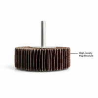 Roue à lamelles montée en alumine REX 25-80 mm avec tige de 6 mm, outil abrasif certifié TUV ISO pour le polissage des surfaces internes des métaux