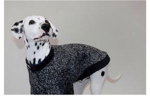 เสื้อผ้าสัตว์เลี้ยงสุดหรูสำหรับสุนัขแบบตั้งได้ผ้าฟลีซสองชั้นบุขนแกะอบอุ่นซับในเสื้อผ้าสัตว์เลี้ยงสำหรับสุนัข - Product Image 6