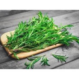 Natural Antioxidants(NEAOX)- ROSEMARY BASED CO2 <b>extract</b> and solvent <b>extract</b> available - Product Image 3