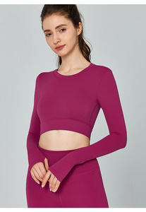 Crop top de luxe uni pour femme, grande taille, dos évidé, manches longues, respirant, haute élasticité, rembourré, coupe ajustée, pour le sport, le yoga et le Pilates - Product Image 5
