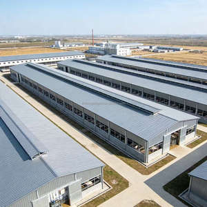 Struttura in Acciaio ZHILIAN Design Industriale Moderno Prefabbricato Magazzino per Allevamento Pollame Fattoria Suini 5 Anni - Product Image 3