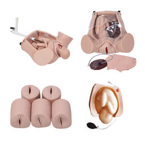 Model Rotasi Mesin Pemeriksaan Abdomen dan Persalinan Komprehensif Canggih DARHMMY untuk Ilmu Kedokteran - Product Image 3