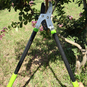 Lopping <b>Shears</b> Carbon Steel 20-30 Mm Teflon Coated Heavy Duty Garden Pruning <b>Tool</b> With Green Handles For Tree Branches Trimming - Product Image 1