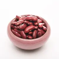 Beans Top 1 Wholesale Sugar Beans Organic Red Kidney Beans Price
