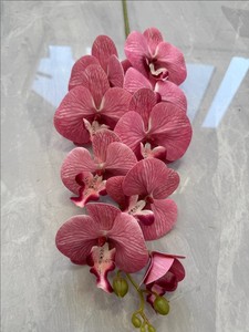CM-DC004 <span class=keywords><strong>Orchidea</strong></span> Phalaenopsis in Lattice Effetto Reale, 9 Fiori Artificiali per Decorazioni Matrimoniali - Product Image 3