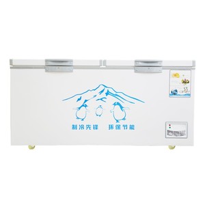 Congélateur coffre de haute qualité avec condenseur interne - Product Image 4