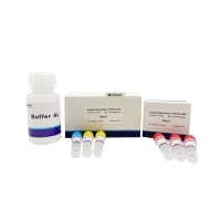 Forefène bio laboratoire réactif tissu Animal Direct PCR Kit-UNG sans extraction séparée de l'adn