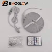 Tira de Luces LED RGBIC de Neón con Control Remoto, Resistentes al Agua IP67, USB 5V, Cambio de Color, para Decoración de Festivales al Aire Libre