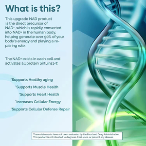 OLLI Private Label Nad Kapseln Ergänzung Vegane Resveratrol Kapseln NAD Kapseln Nad Supplement für hohe Absorption - Product Image 5
