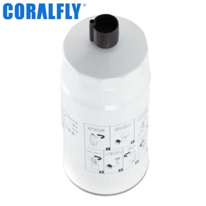 R010042 612630080203 Filtre à carburant pour camion FS36210 BF1375 1094176300 5289992 5402705 - Product Image 2