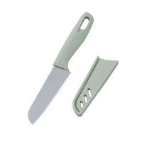 Pisau Pengupas Buah Plastik, Pisau Koki, Pisau Steak Stainless Steel, Grosir Pabrik, Penjualan Panas
