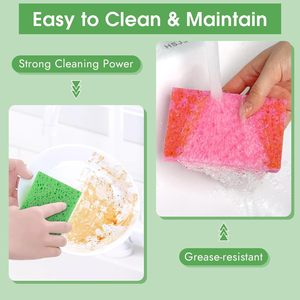 Eco-Friendly Reusable Compostable Compressed Cellulose Sponges Sheets Decontamination Features - Product Image 6