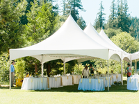 Une Couche Étanche 3x3 & 10x10 Polyester Toile Tente PVC Auvent pour Événements Mariages Camping Hôtels-Vente en Gros