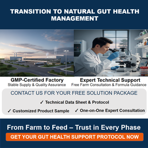 EnteroHerb, Suplemento Natural a Base de Hierbas para la Salud Intestinal de Aves de Corral |   Ayuda a Controlar la Enteritis Necrotica y la Diarrea |   Fórmula Sin Antibióticos - Product Image 6