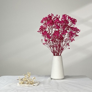 Fleurs de Gypsophile Séchées en Vrac - Nouveauté 2025 Décoration de Mariage Cadeaux de la Saint-Valentin Décoration Intérieure Florale Sabe - Product Image 3