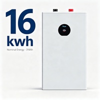 Batterie Lithium Deye 51.2V 314Ah à décharge profonde 16kWh, pack de batteries lithium-ion, prend en charge la charge maximale. 32 pièces en parallèle