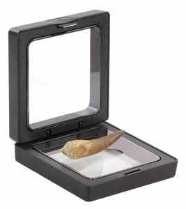 Boîtes d'affichage à membrane en plastique 5x5 pour couronnes dentaires, prothèses et livraison de dents - Product Image 2