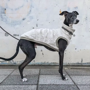 Ropa de invierno personalizada de algodón cálido abrigo de galgo italiano ropa para perros - Product Image 4