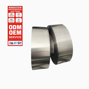 Lámina de Titanio Versátil de Grado <span class=keywords><strong>1</strong></span>, Superficie Pulida Laminada en Caliente, Espesor de 0.01-<span class=keywords><strong>1</strong></span>.0 mm, Certificación ASTM, Uso Automotriz/Dental/Industrial - Product Image 1