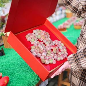 Logo Printing Corrugated Clothing Shipping Boxes Pink <strong>Red</strong> Color Mailer Packaging Mailing <strong>Box</strong> - Product Image 1