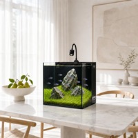 Aquarium de bureau en gros avec filtre sec-humide, ensemble d'aquarium en verre personnalisable en usine avec éclairage à 3 couleurs