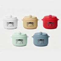 Cuisinière électrique multifonction automatique 3L ODM/OEM, cuiseur à riz électrique domestique avec pot en acier inoxydable