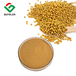 Estratto di semi di fieno greco in polvere di alta qualità estratto di semi di fieno greco 10:1 - Product Image 2