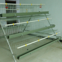 Poulailler à bas prix Cage à oiseaux poulailler pour poussins d'un jour 50 cage à poulet ferme avicole de couche du Pakistan
