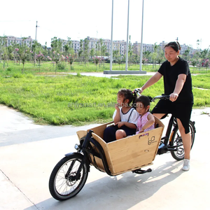 Vélo cargo électrique <span class=keywords><strong>Long</strong></span> <span class=keywords><strong>John</strong></span> 250w, puissant vélo cargo Bakfiets à deux roues pour adultes avec boîte de transport - Product Image 3