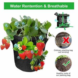300gsm Mushroom Grow Bags Breathable 1/3/5/10/25/100 Gallons Customize Felt Fabric <b>Pot</b> <b>Strawberry</b> Grow Bags for <b>Plants</b> - Product Image 4