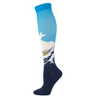 Célèbre peinture en plein air élastique sport pression chaussettes genou haute course chaussettes de Compression