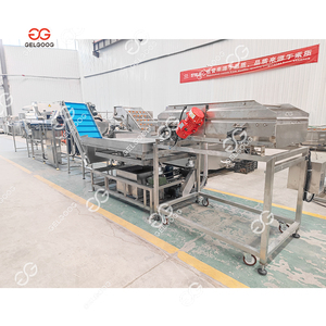 Trái cây và rau rửa thiết bị hoặc máy cà chua dán phân loại và rửa thiết bị quy mô nhỏ cà chua máy giặt - Product Image 5