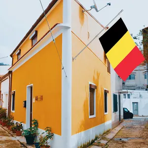 Venta al por mayor de banderas belgas de 3x5 pies, poliéster 68D/100D. Personalizar todas las naciones, envío rápido. Proveedor confiable, entrega rápida