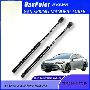 Wholesale And Retail 2024 Hot Sale Easy Install Car Hood And Tailgate Gas Spring For MERCEDES - BENZ C - CLASS