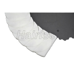 Hairise 1775 Chất Lượng Cao Giá Rẻ Flat Top Băng Tải Chuỗi Các Nhà Sản Xuất - Product Image 1