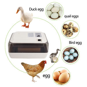 Incubateurs automatiques Oeufs à couver Machine à couver électrique pour œufs Ferme et maison Poulet Canard <span class=keywords><strong>Couveuse</strong></span> à œufs - Product Image 1