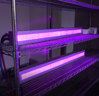 Système de séchage UV LED Interdeck pour presses offset Heidelberg, Manroland, Ryobi et RMGT