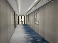 Tapis usine vente chaude laine et nylon Axminster imprimé mur à mur haute qualité luxe 5 étoiles hôtel couloir tapis