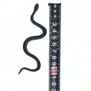 Juguetes <span class=keywords><strong>de</strong></span> <span class=keywords><strong>Serpiente</strong></span> <span class=keywords><strong>de</strong></span> Gel Suave Realistas, Modelos <span class=keywords><strong>de</strong></span> Serpientes Acuáticas, Diversión para Fiestas y Bromas <span class=keywords><strong>de</strong></span> Halloween - Product Image 3