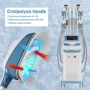 เครื่องสลายไขมัน Cryolipoy 9 in 1 ราคาโรงงาน ผลิตจากวัสดุ ABS สำหรับใบหน้าและบริเวณ ABS ที่กำหนด ใช้ได้กับปลั๊กแบบ US - Product Image 3