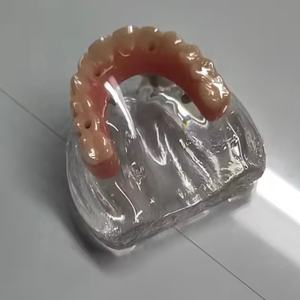 نموذج عرض لتثبيت أسنان واستعادة جسر سريع يتماشى مع الكل في 4 - Product Image 2