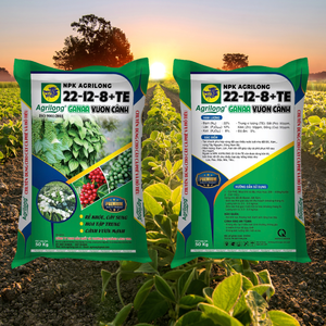 Engrais granulaire NPK 22-12-8+TE à libération rapide de haute qualité AGRILONG OEM/ODM du Vietnam, stimule la floraison - Product Image 1