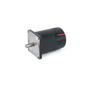 Brushed Electric 3000 RPM DC Motor ZYT-80SR 12V Brushed DC Motor For Industry