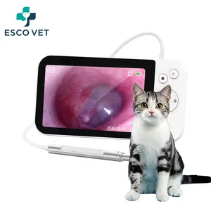 热卖宠物产品支持照片和视频功能3.9毫米超小直径耳垢内窥镜兽医耳镜套装